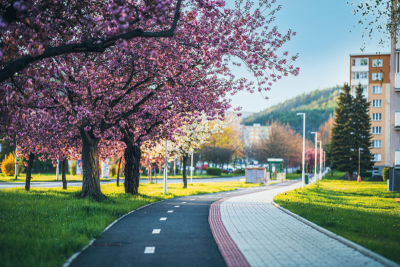 Městská cyklostezka na Petlérské