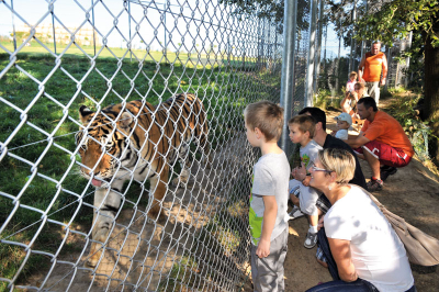 ZOO Tábor