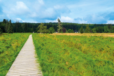 Kladská – Lehrpfad