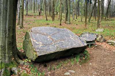 Geopark – magmatischer Gneis