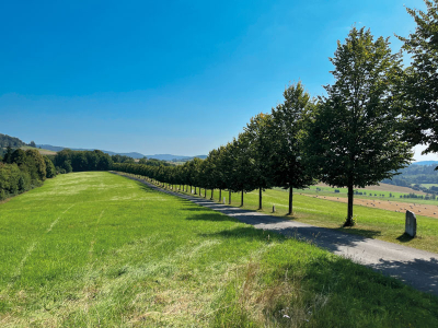 Jakobsweg bei Tanaberk