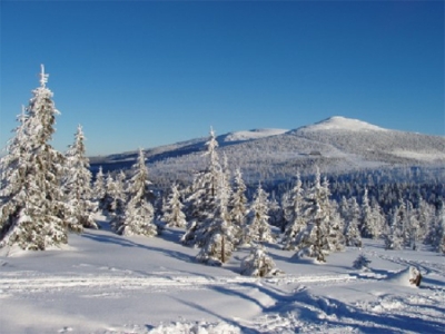 Cross-country skiing paradise in the Czech Republic