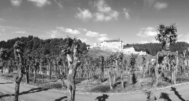 Zdeněk Sternberg - adventní zamyšlení