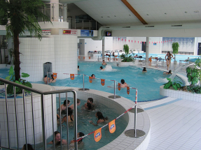 Delfín – nekonečná zábava