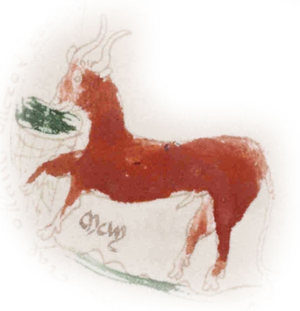 Manuskript bez obsahu?