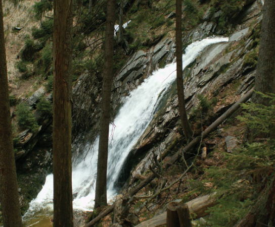 Co se děje na Železnorudsku