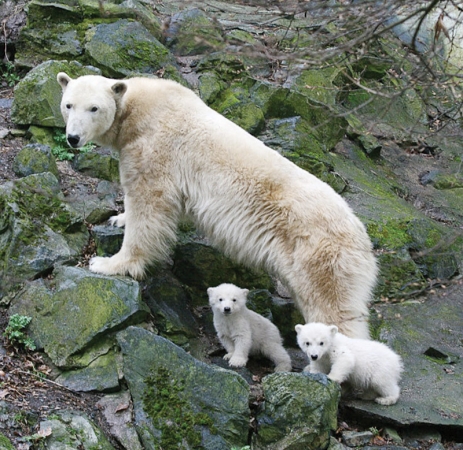 Na jižní Moravě, konec je únavě...