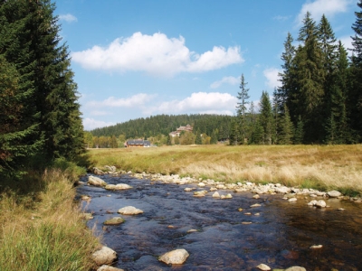 Obrázek č.0