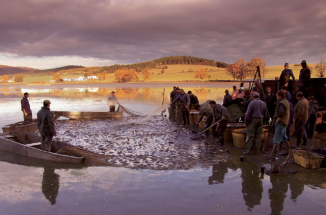 Výlovníci v Čechách