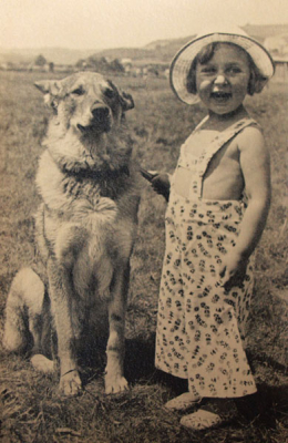 V létě na Sázavě