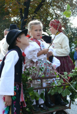 Obrázek č.0