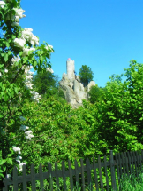 Zřícenina Frýdštejn