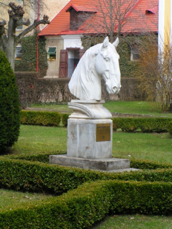 An Indian Summer in the Pardubice Region