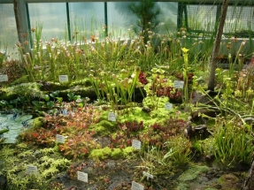Botanical Garden Liberec