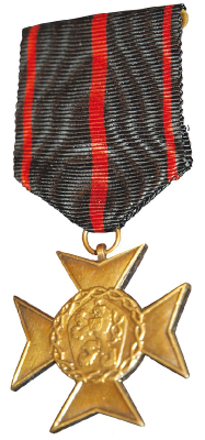 Obrázek č.15