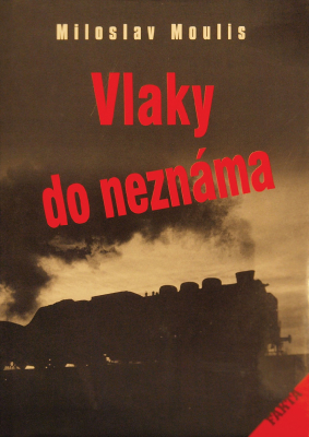 Obrázek č.16