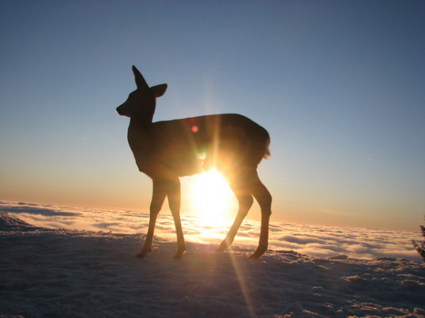 Benecko – oáza klidu