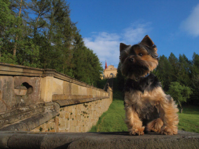 Poutní místo Homole