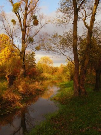 Za zábavou a poznáním do Poodří 