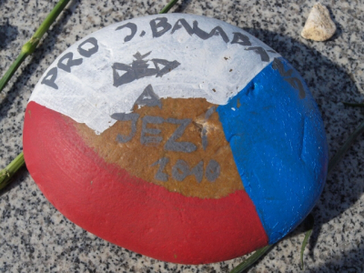 Obrázek č.0