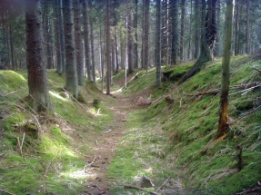 Všude dobře, na Šumavě líp