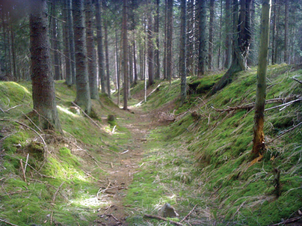 Všude dobře, na Šumavě líp