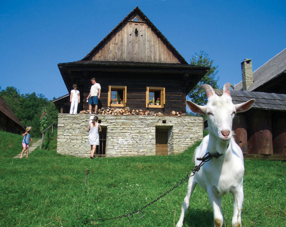 Rebelantští Valaši