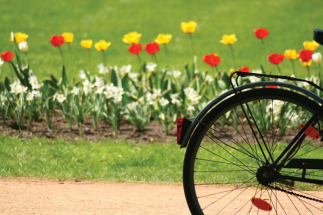 Lázeňské město Poděbrady