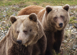 Kladno – turistické centrum i cíl rodičů s dětmi
