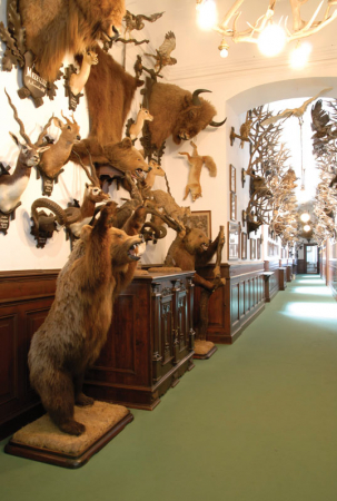 Státní zámek Konopiště