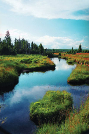 Jizerské hory cyklistům