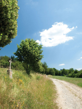 Navštivte Třešť, město s tradicí