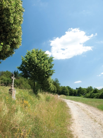 Navštivte Třešť, město s tradicí