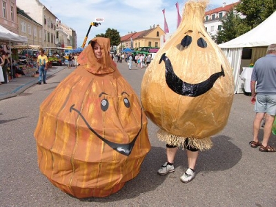 Obrázek č.0