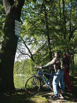 Pozvánka do Veselí nad Lužnicí