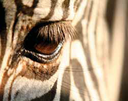 Vítáme podzim ve Vimperku