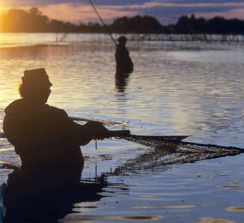 Z výlovu rybníka přímo do horké lázně