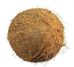 Léčivý „panapr“