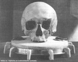 Bojovník s nešvary