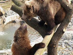 Kladenský zámek nabízí kulturu i ukázky hornických technik