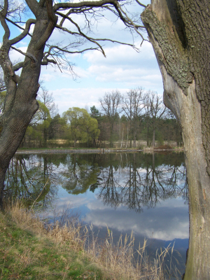 Veselí nad Lužnicí ožívá sportem