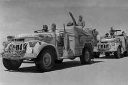 pirati-pisecnych-mori