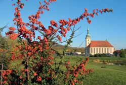 visit-the-dynamic-town-of-most