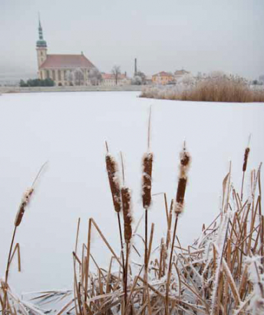 do-mostu-za-vanocni-vyzdobou-nebo-do-bezkarskych-stop