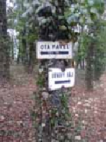 Smrt krásných nadějí