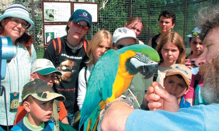 KRÁLOVSKÁ VĚNNÁ MĚSTA PŘEDSTAVUJÍ ...