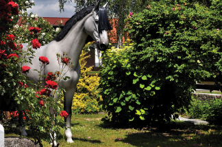 Za pohádkou do podzámčí