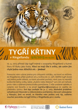 tygri_letak