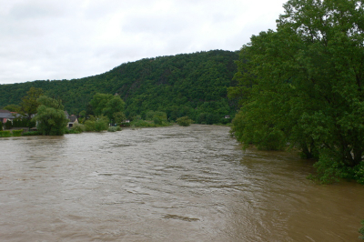 Berounka v Černošicích