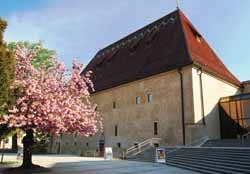 Přijeďte do Hradu Litoměřice za vínem